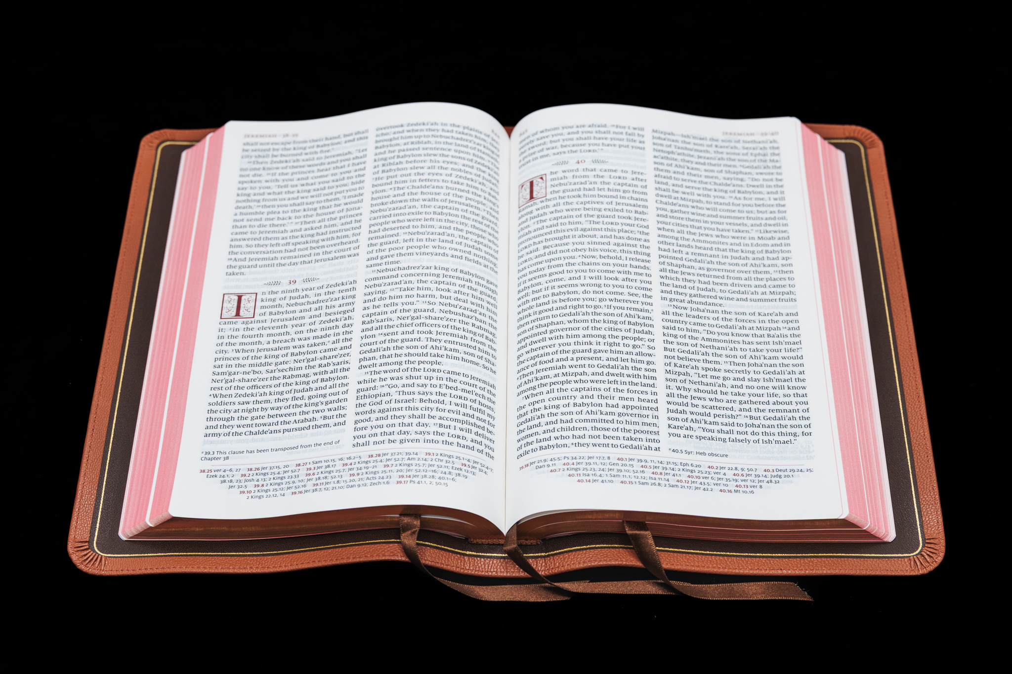 Schuyler Quentel RSV <em>with Apocrypha</em>, Full Yapp British Tan Goatskin Bible – PREORDER - Image 2