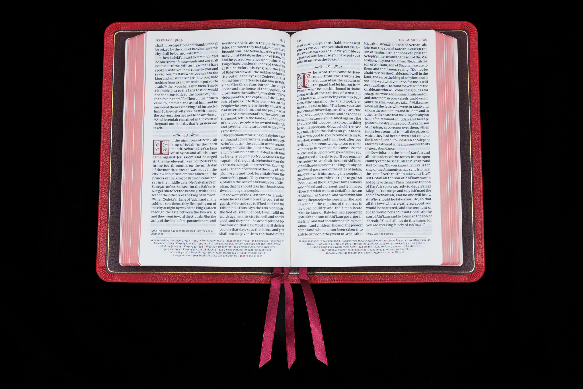 Schuyler Quentel RSV <em>with Apocrypha</em>, Full Yapp Cardinal Red Goatskin Bible – PREORDER - Image 2