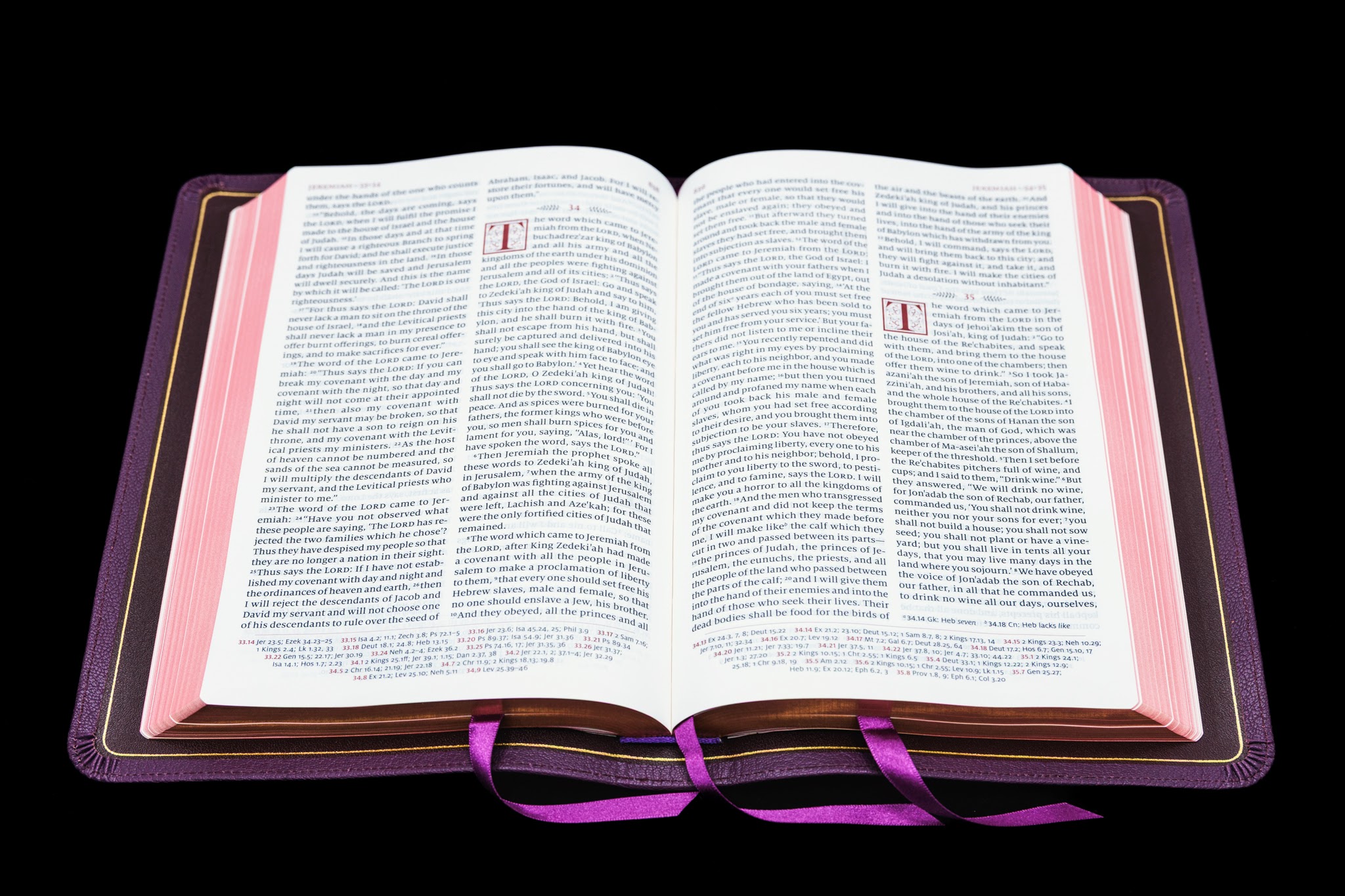 Schuyler Quentel RSV <em>with Apocrypha</em>, Full Yapp Dark Purple Goatskin Bible – PREORDER - Image 2
