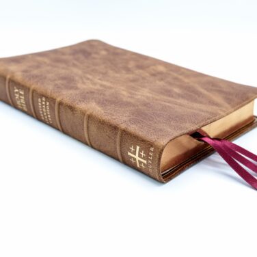 Schuyler Quentel RSV <em>with Apocrypha</em>, Desert Camel Calfskin Bible &ndash; PREORDER