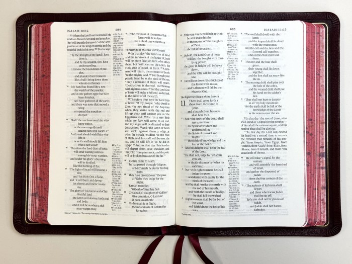 Allan ESV New Classic Readers Edition Burgundy Highland Goatskin - Speckled Edges FIRST EDITION Bible - Image 2