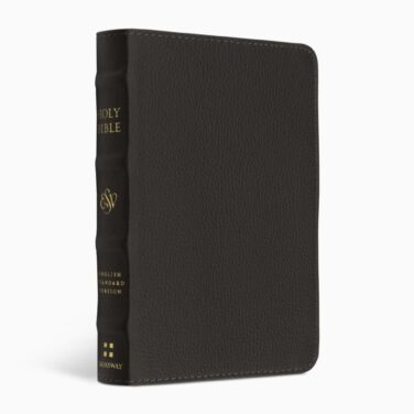Crossway ESV Compact Bible, Buffalo Leather, Deep Brown