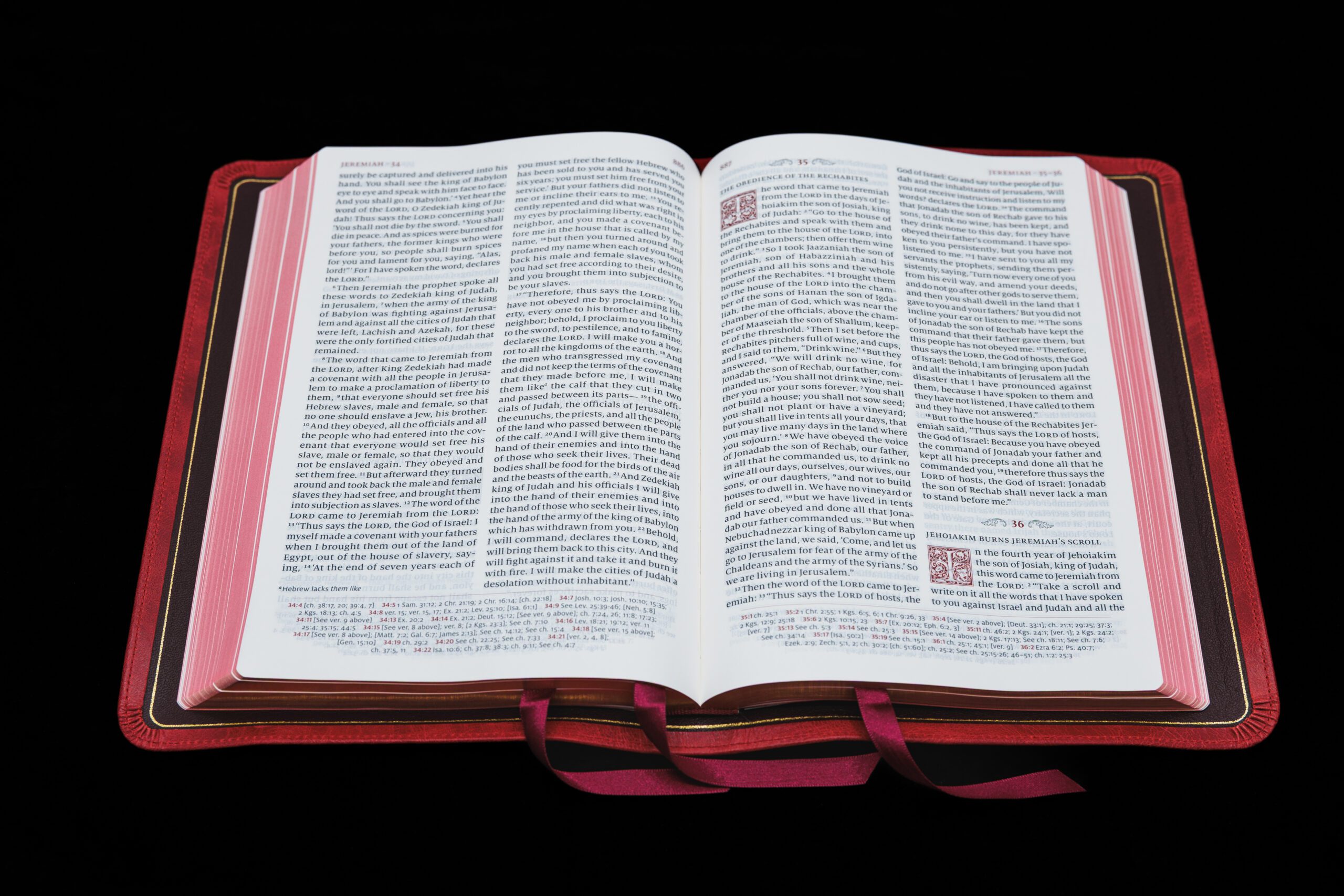 Schuyler Quentel ESV, Full Yapp Marbled Crimson Calfskin Bible – PREORDER - Image 2