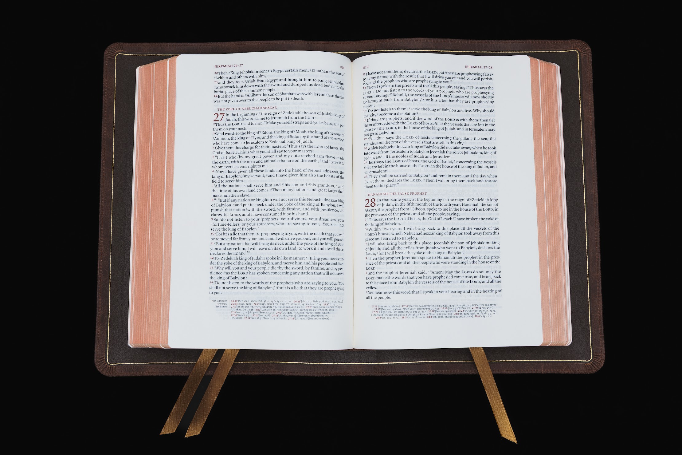 Schuyler Stridon ESV, Full Yapp Chestnut Calfskin Bible - Image 3