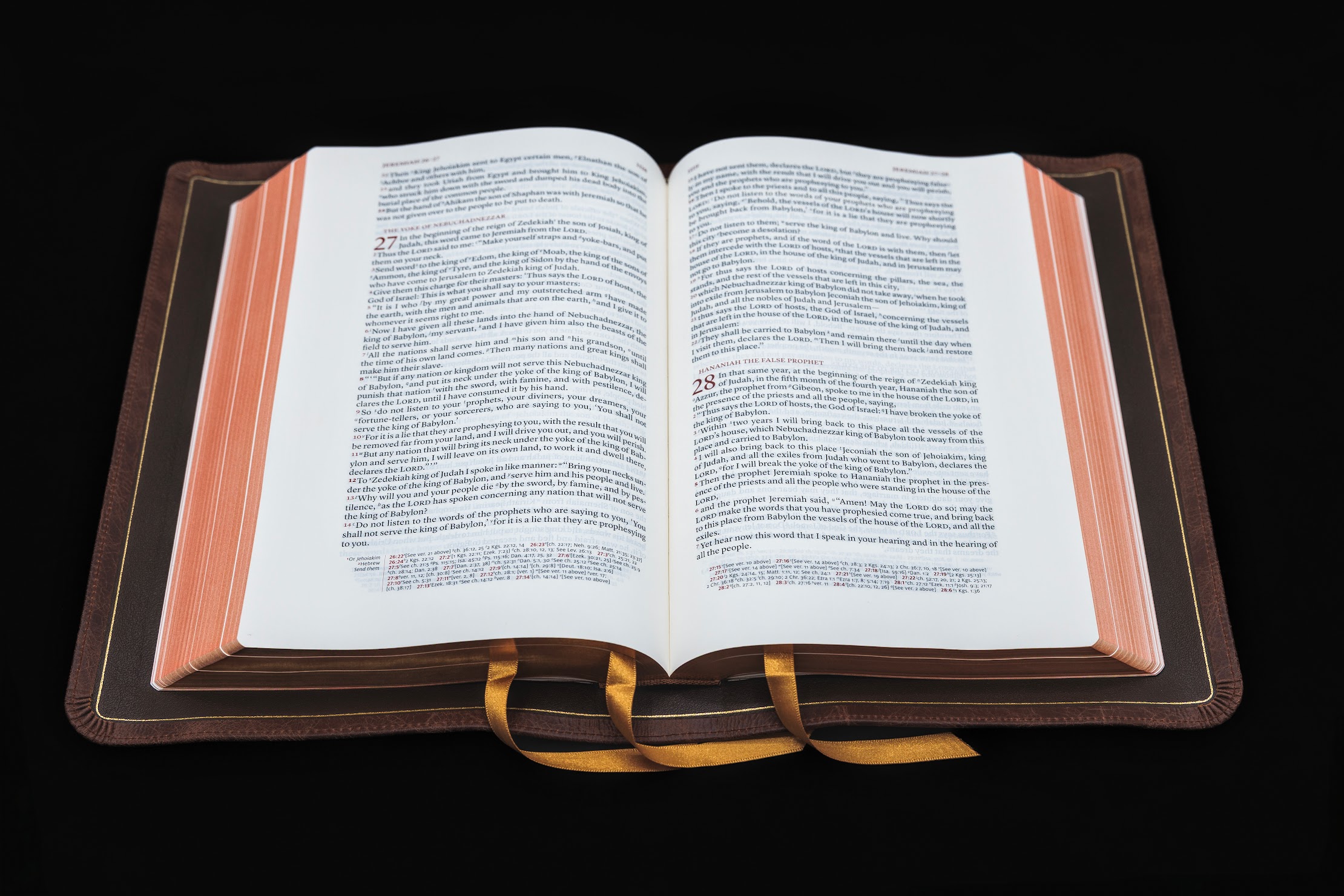 Schuyler Stridon ESV, Full Yapp Chestnut Calfskin Bible - Image 2