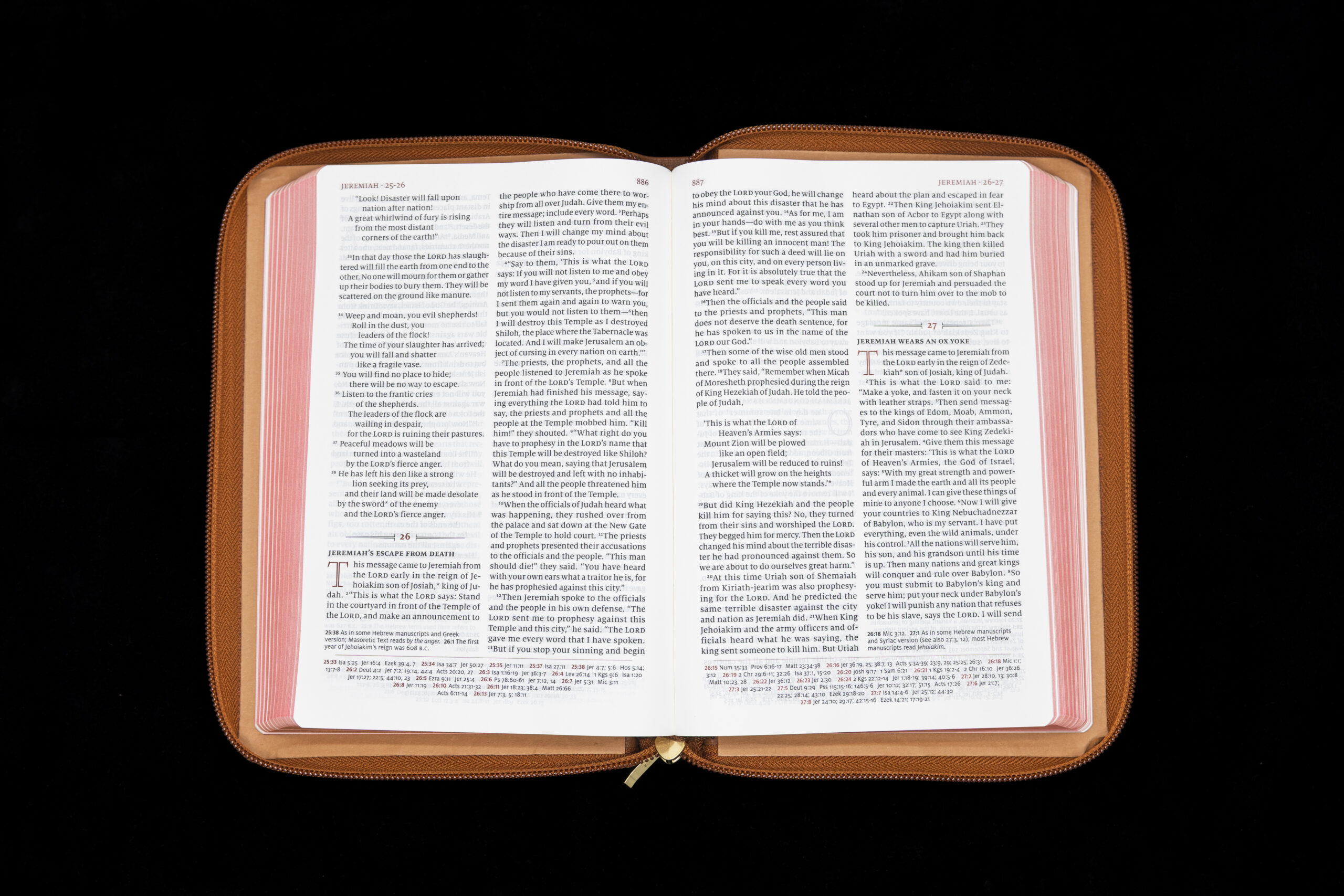 Schuyler Personal Size Quentel NLT, British Tan Goatskin Bible, Zipper Edition – PREORDER - Image 3