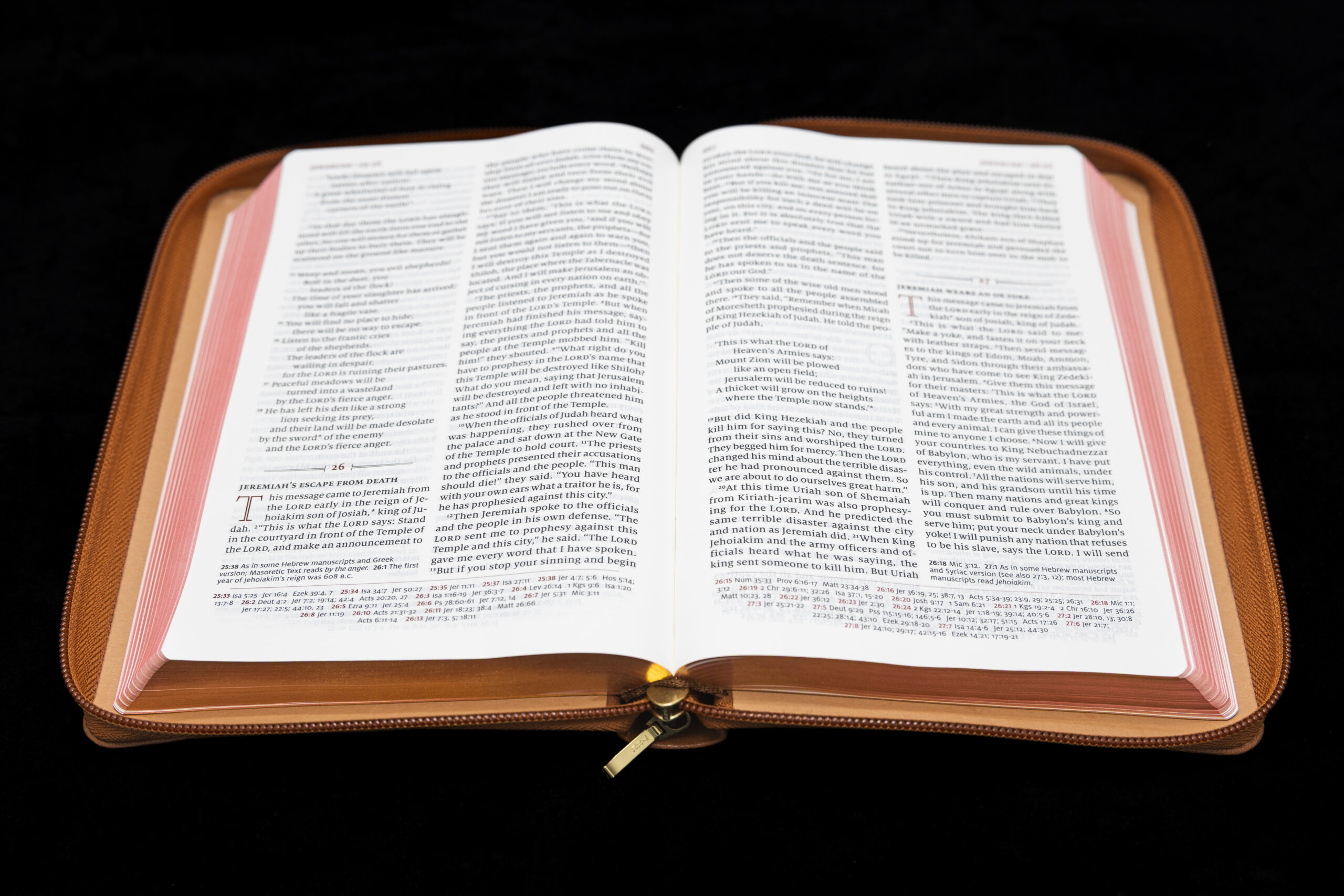 Schuyler Personal Size Quentel NLT, British Tan Goatskin Bible, Zipper Edition – PREORDER - Image 4