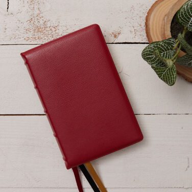 Nelson KJV Personal Size, Single-Column Reference Bible, Large Print, Red Goatskin