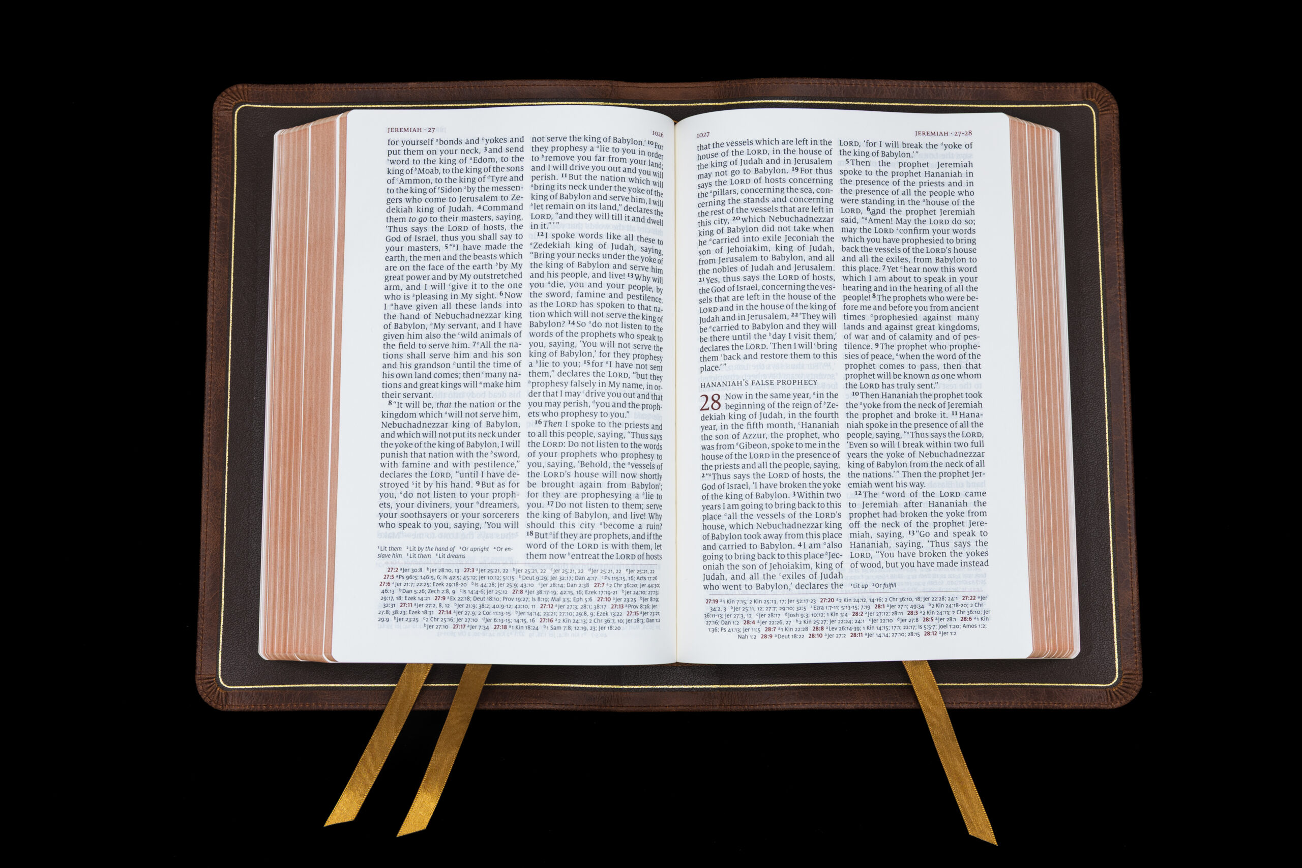 Schuyler Quentel NASB, Full Yapp Chestnut Calfskin Bible – PREORDER - Image 3
