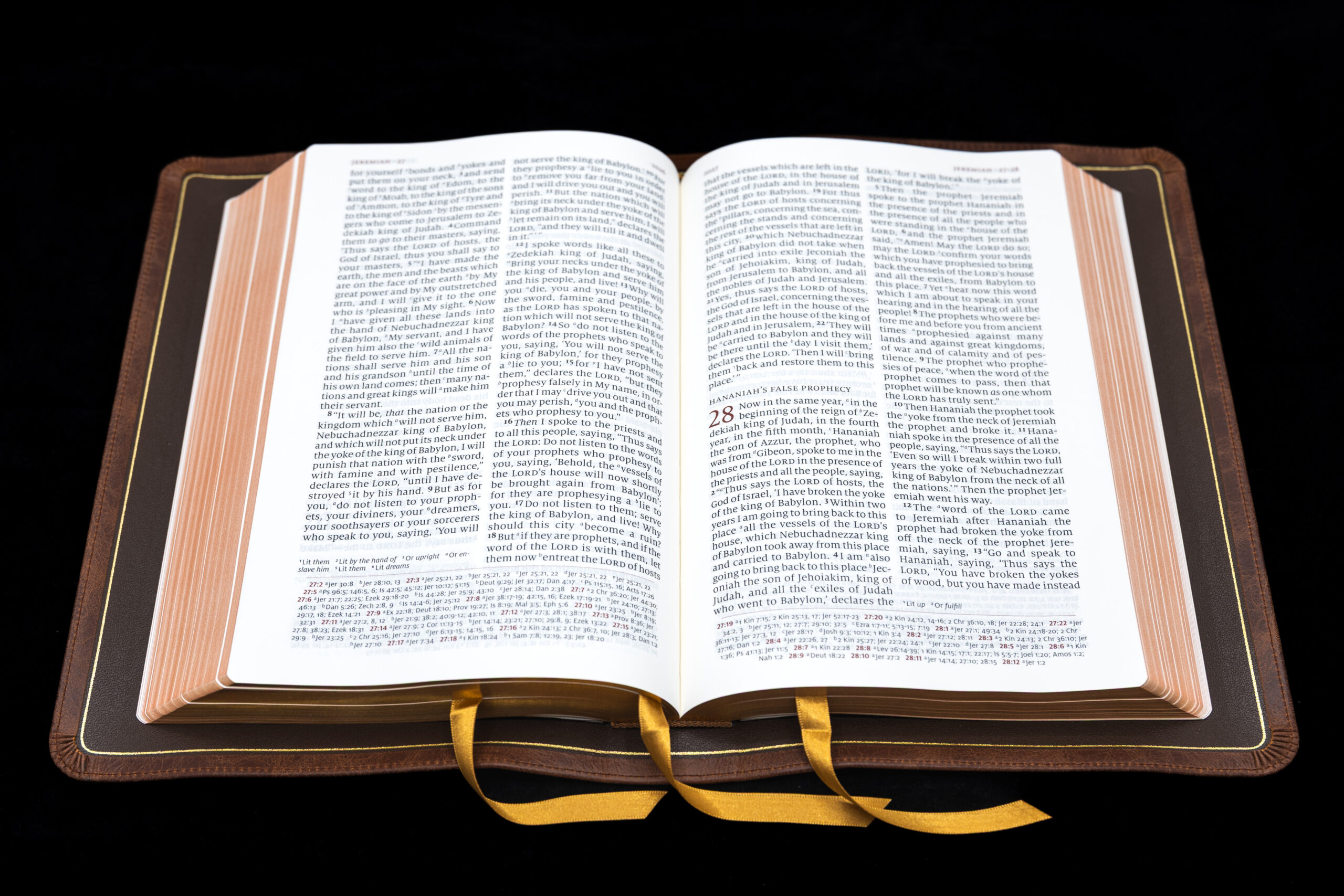 Schuyler Quentel NASB, Full Yapp Chestnut Calfskin Bible – PREORDER - Image 2