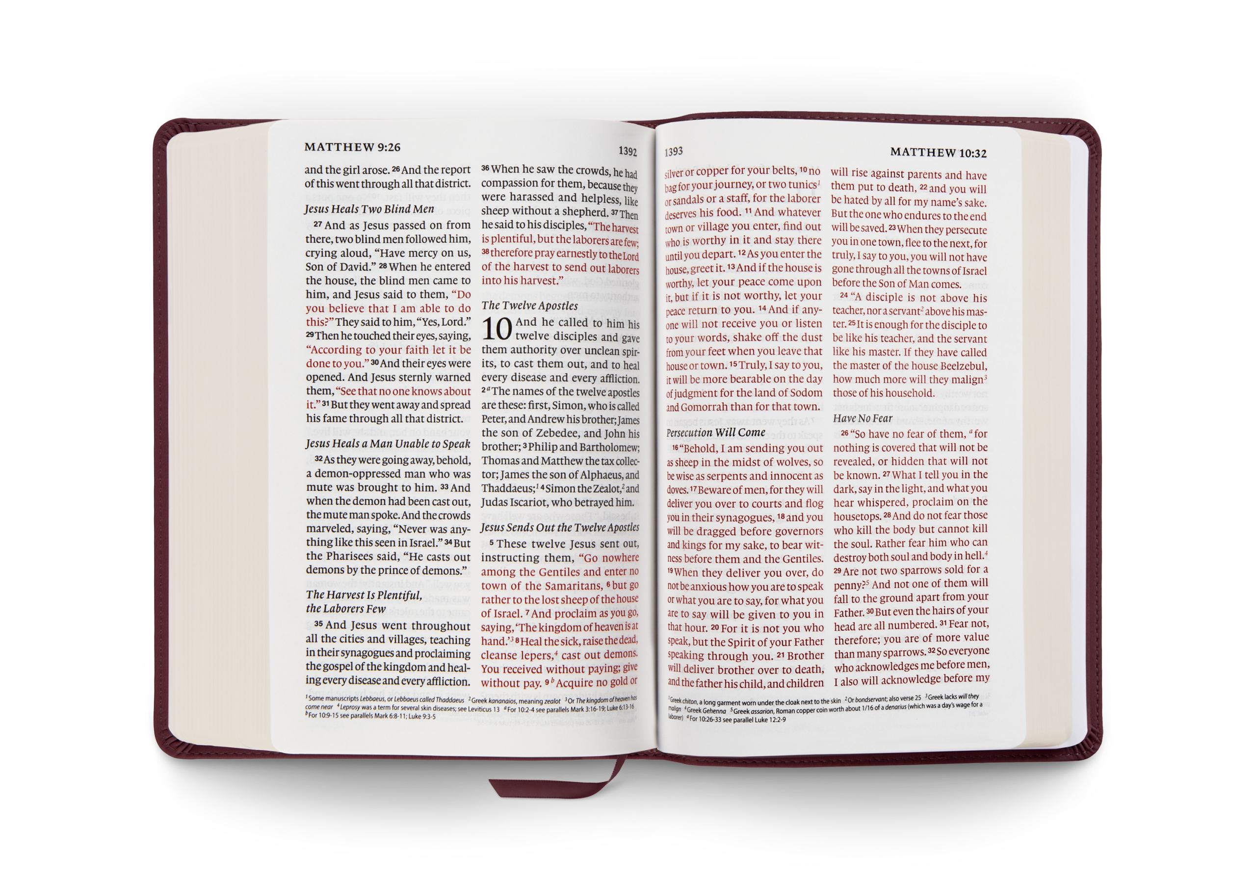 ESV Giant Print Personal Size Bible, Red Letter, Buffalo Leather, Deep Brown - Image 2