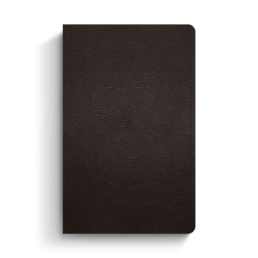 ESV Giant Print Personal Size Bible, Red Letter, Buffalo Leather, Deep Brown