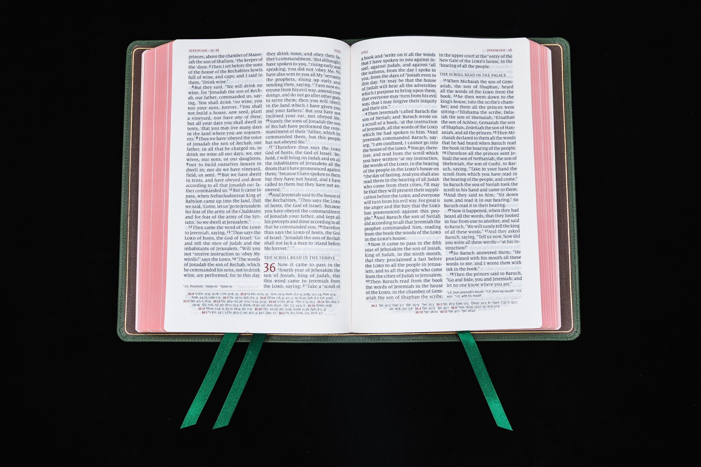 Schuyler Quentel NKJV, Dark Green Goatskin Bible - Image 3
