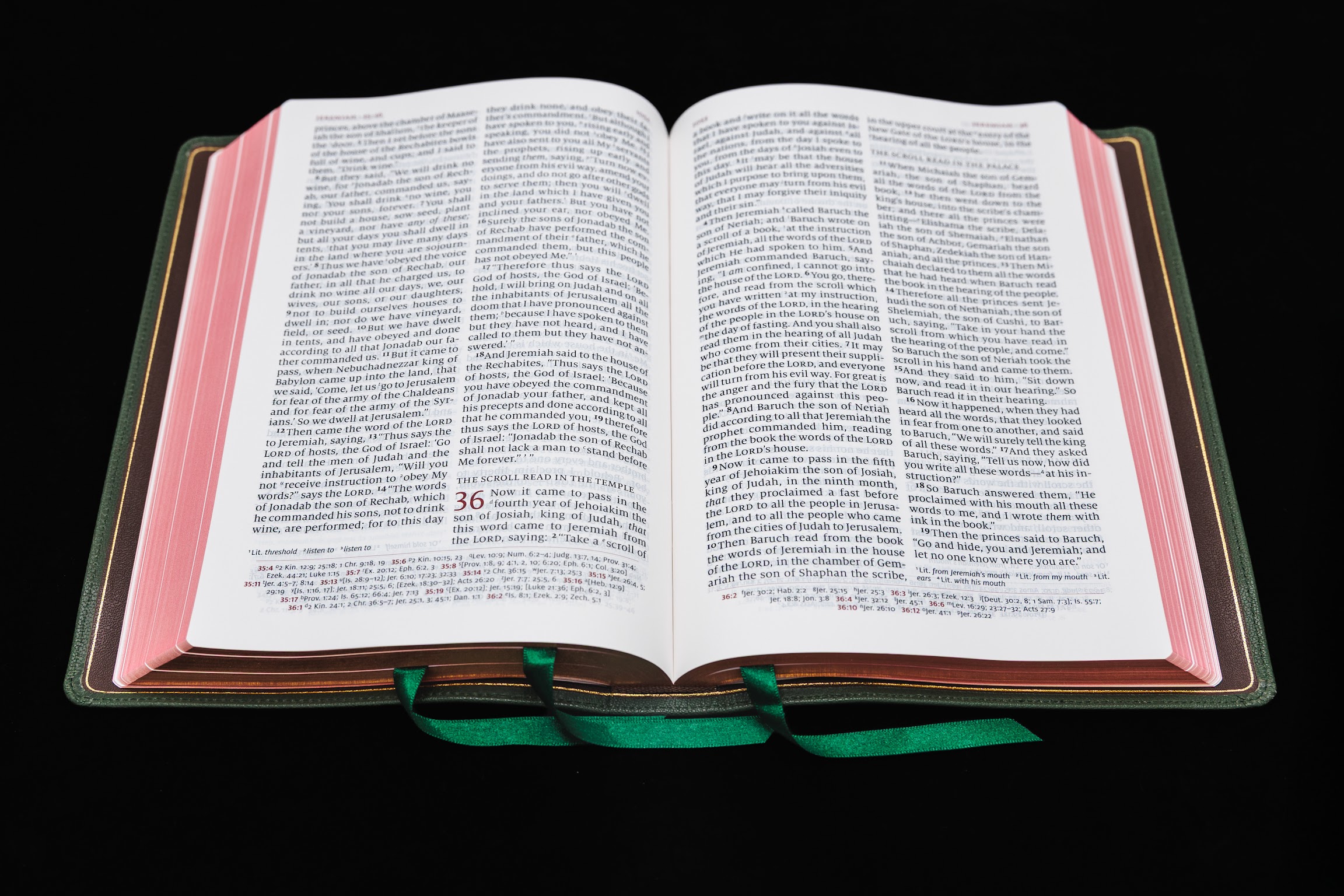 Schuyler Quentel NKJV, Dark Green Goatskin Bible - Image 2