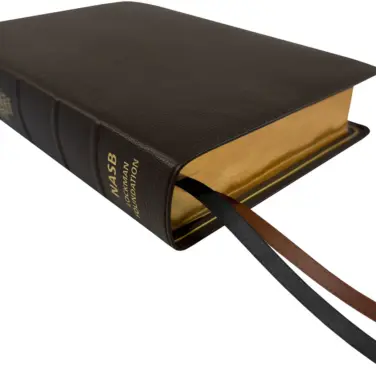 Lockman NASB 1995 Prime Giant Print Reference Bible, Brown Goatskin Leather