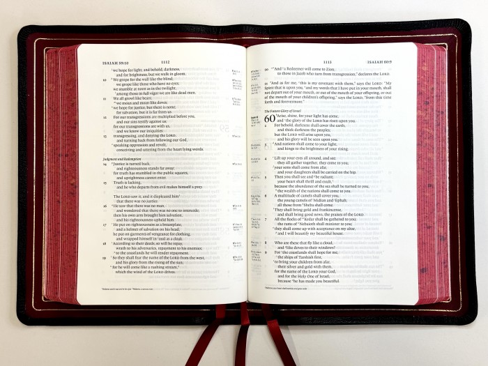 Allan ESV Single Column Reference Edition Black Highland Goatskin with RED - Speckled Edges FIRST EDITION Bible - Image 4