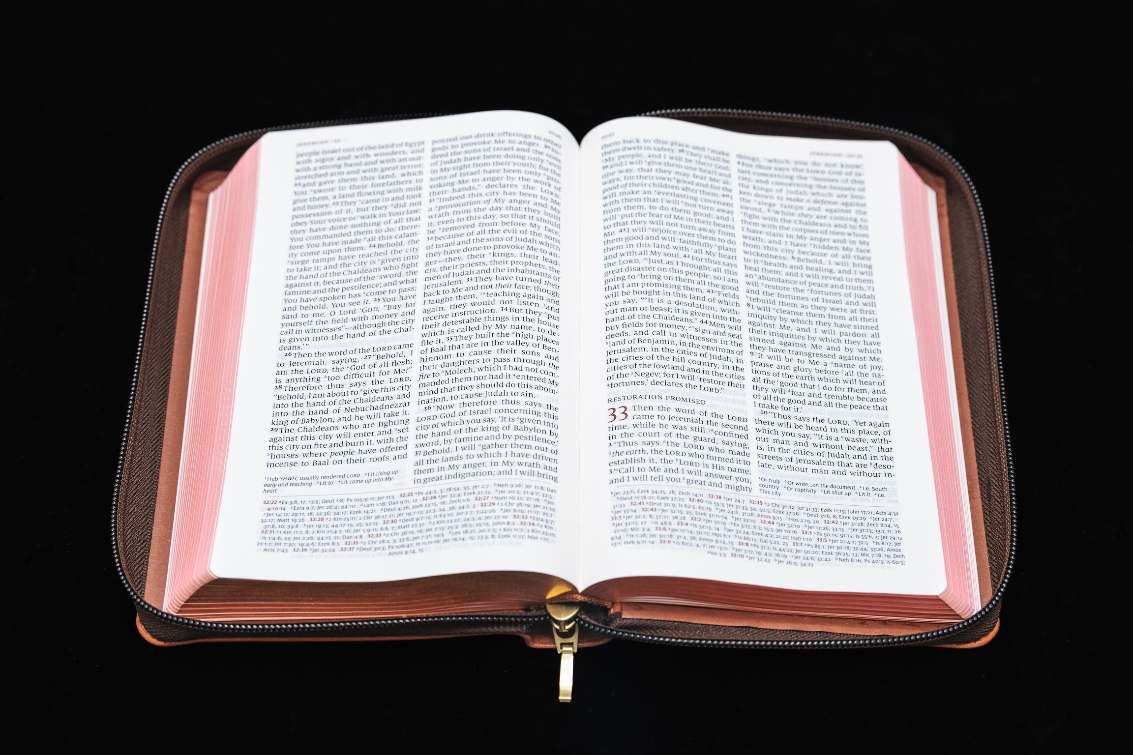 Schuyler Personal Size Quentel NASB, British Tan Goatskin Bible, Zipper Edition - Image 2