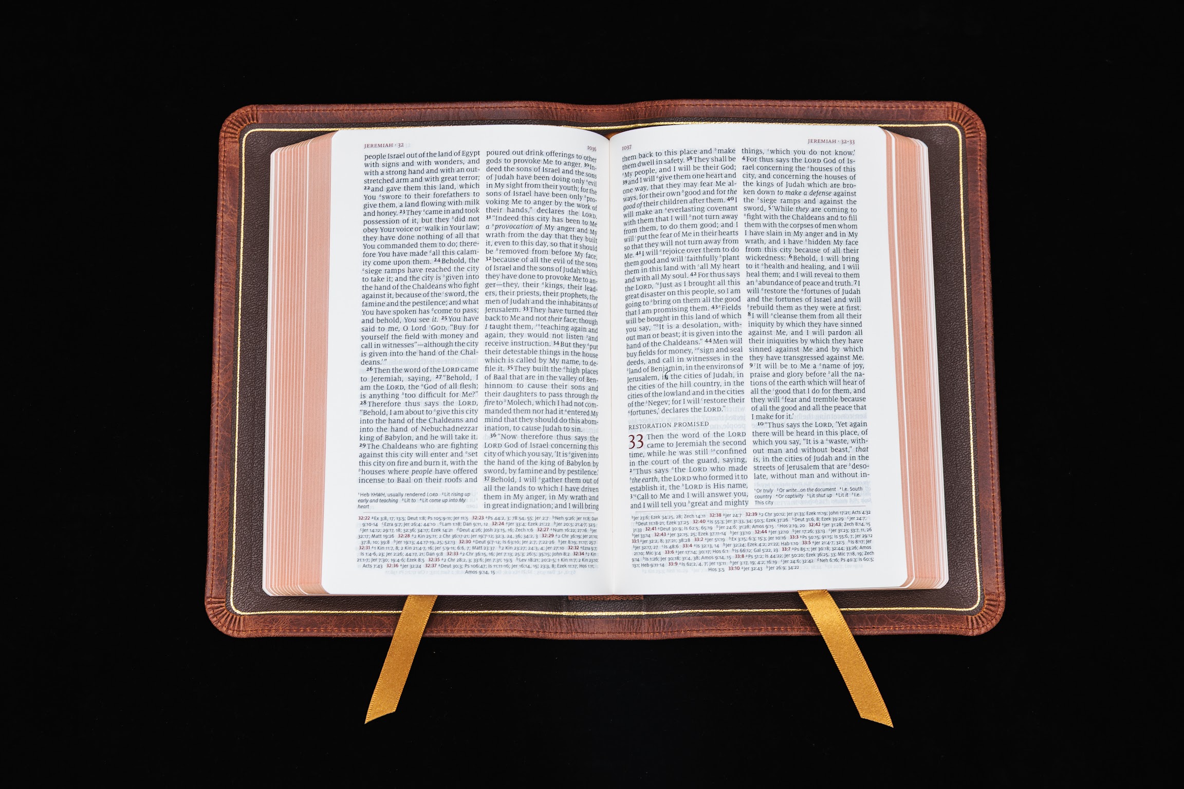 Schuyler Personal Size Quentel NASB, Full Yapp Chestnut Calfskin Bible - Image 3