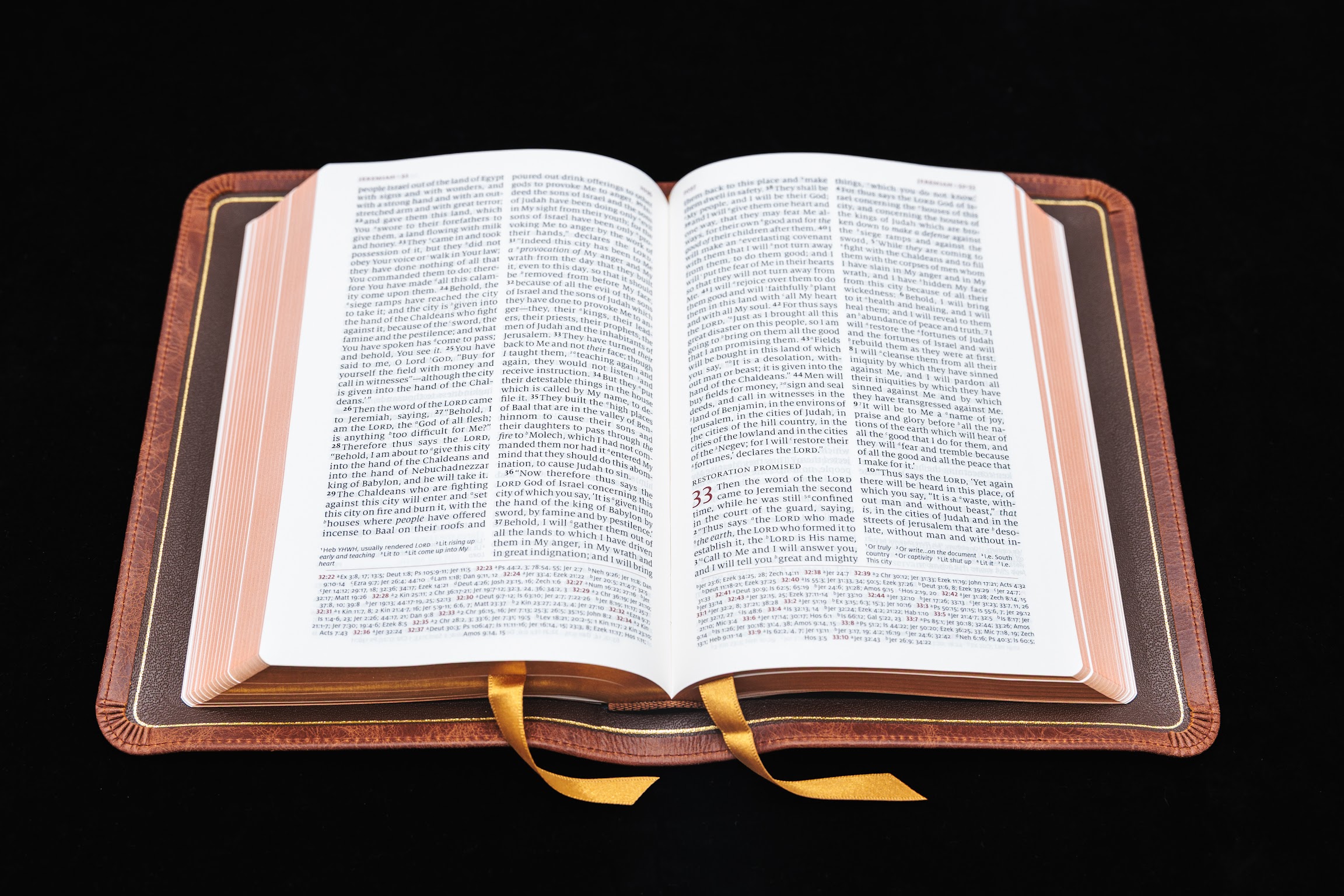 Schuyler Personal Size Quentel NASB, Full Yapp Chestnut Calfskin Bible - Image 2