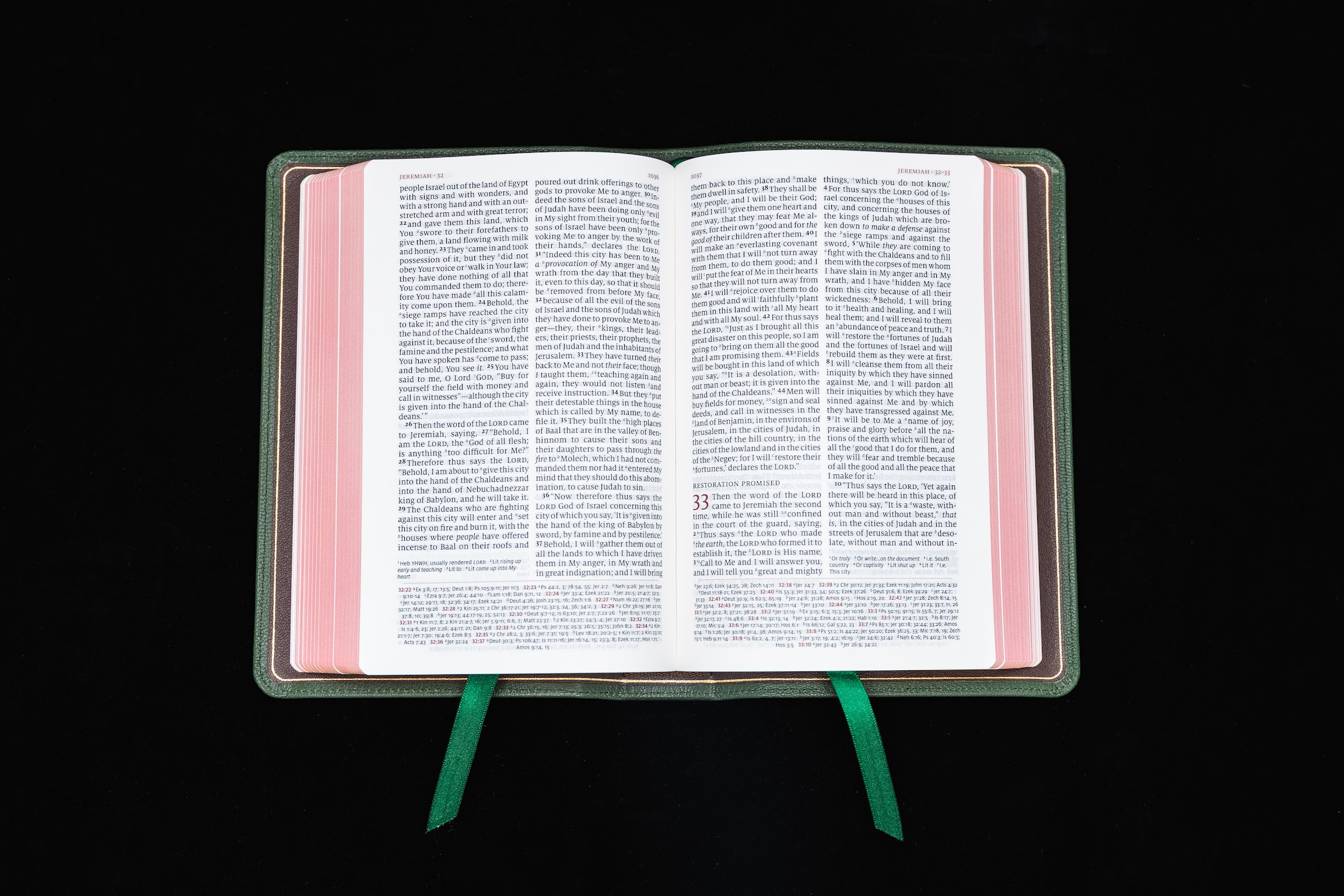 Schuyler Personal Size Quentel NASB, Dark Green Goatskin Bible - Image 3