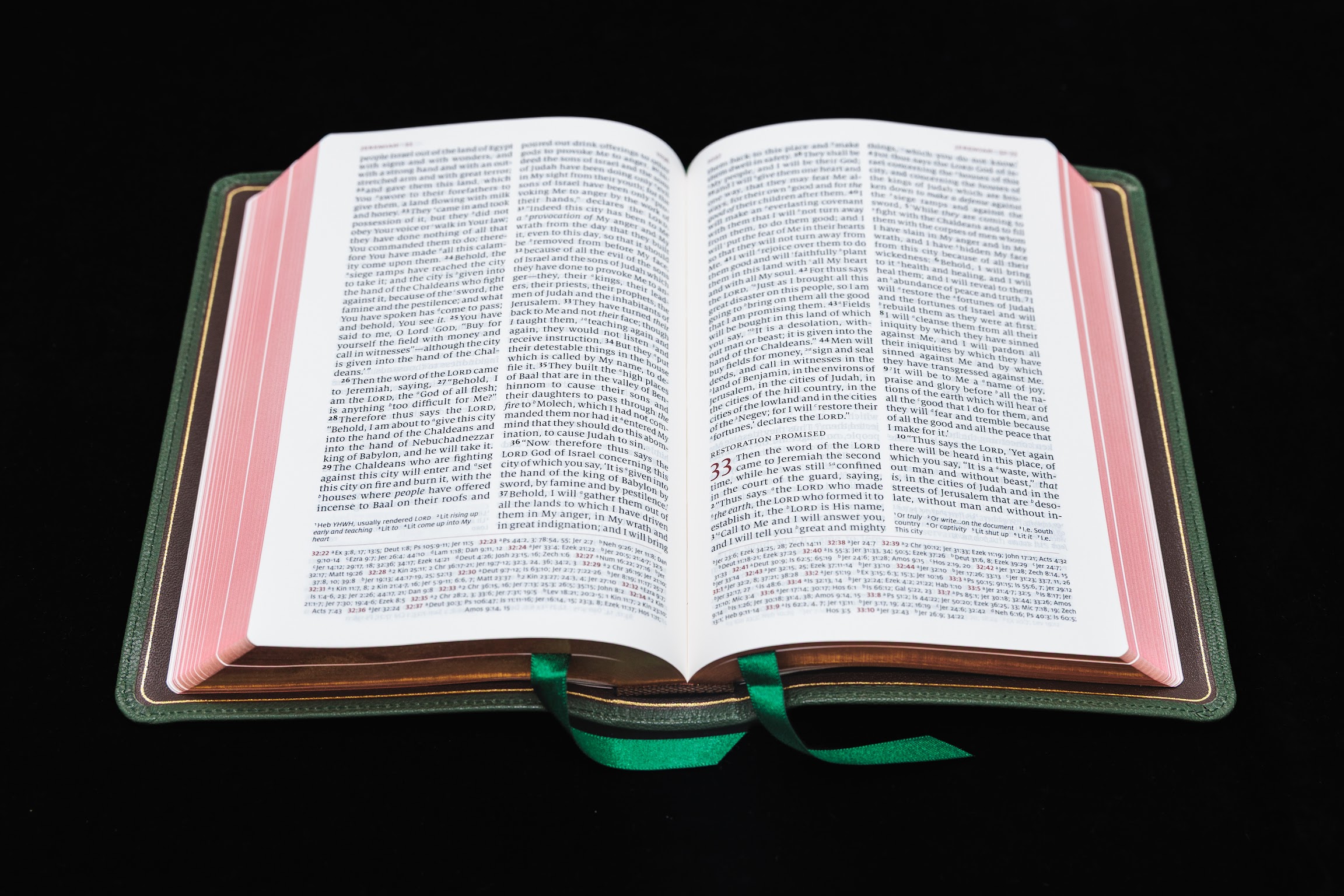 Schuyler Personal Size Quentel NASB, Dark Green Goatskin Bible - Image 2