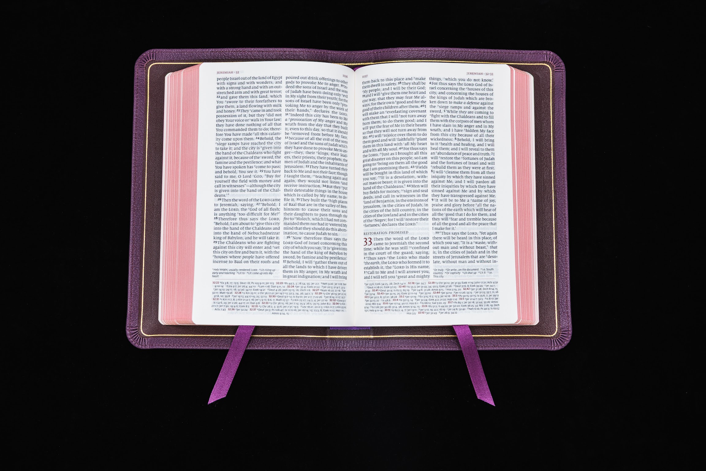 Schuyler Personal Size Quentel NASB, Full Yapp Dark Purple Goatskin Bible - Image 3
