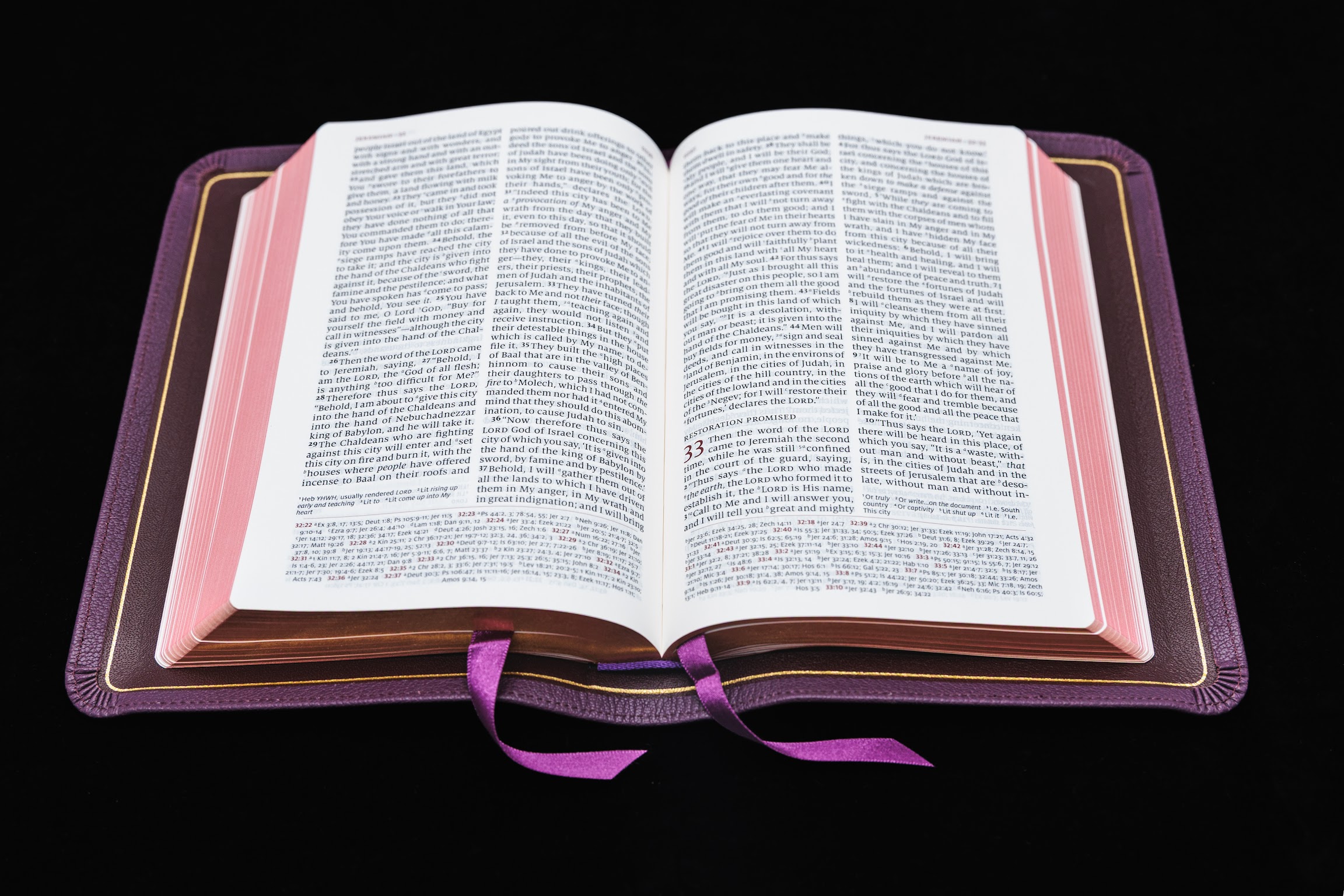 Schuyler Personal Size Quentel NASB, Full Yapp Dark Purple Goatskin Bible - Image 2
