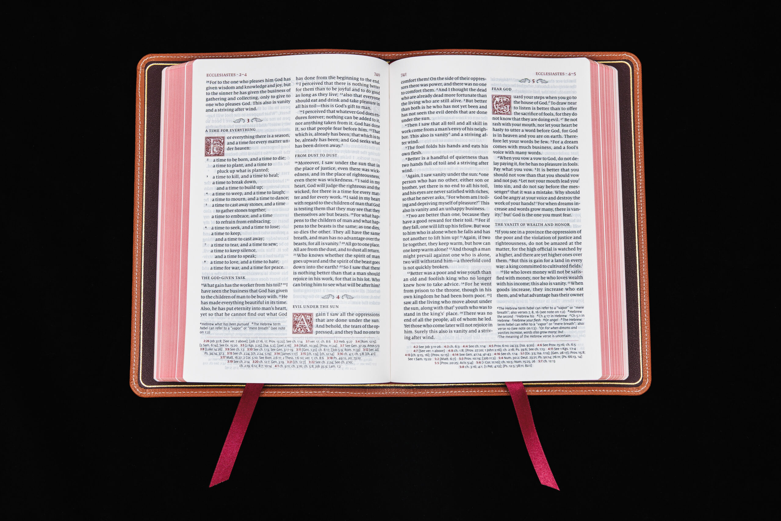 Schuyler Personal Size Quentel ESV, British Tan Goatskin Bible - Image 3
