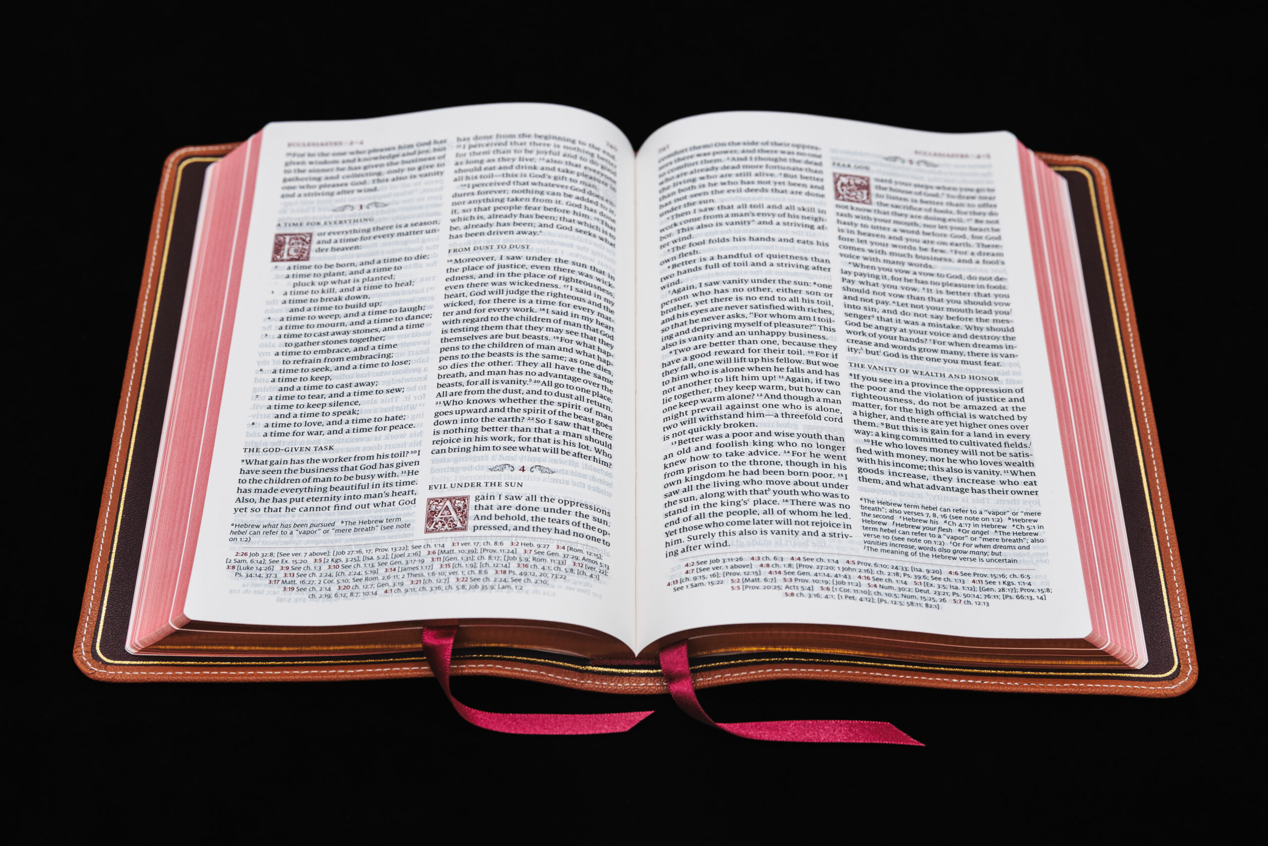 Schuyler Personal Size Quentel ESV, British Tan Goatskin Bible - Image 4
