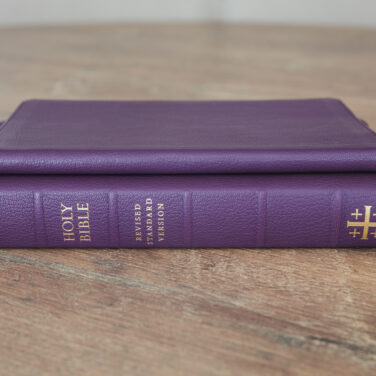 Schuyler Journal Dark Purple Goatskin